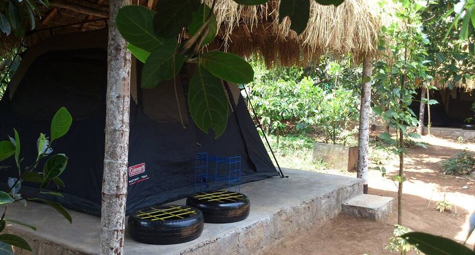 The Foot Hill Camp, Kushalnagar 1