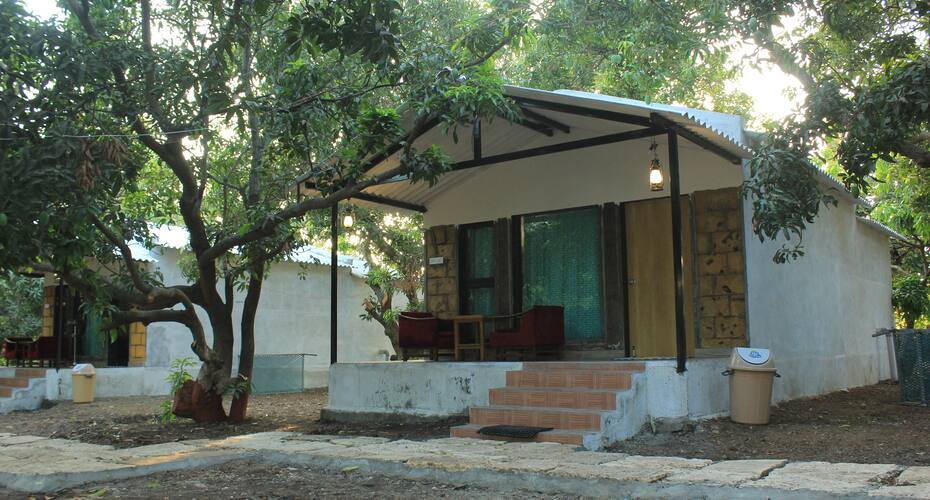 Gir County Resort with Swimming Pool, Sasan Gir 1