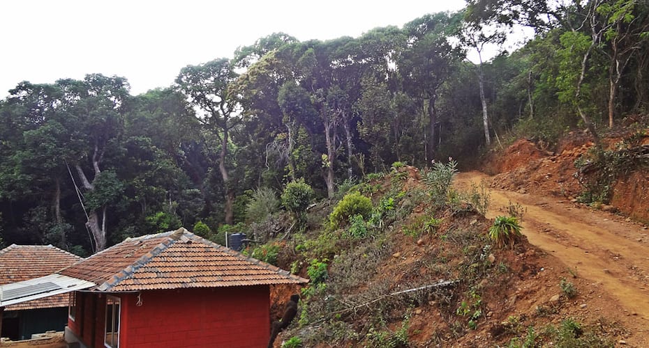 Shishila Hills Jungle Stay, Chikmaglur 4
