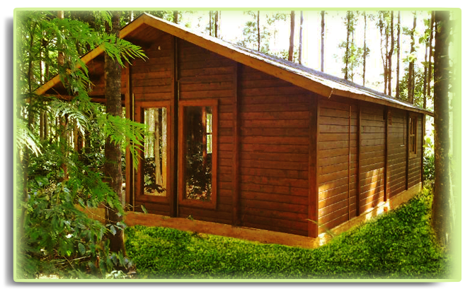 Wooden House stay, Chikmaglur 1