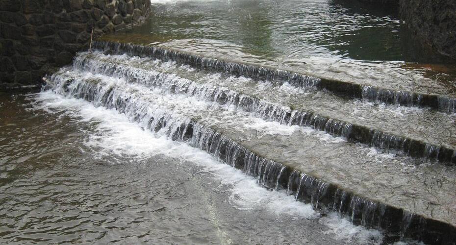 Riverside lavish 3 BHK bungalow with pool, Lonavala 2