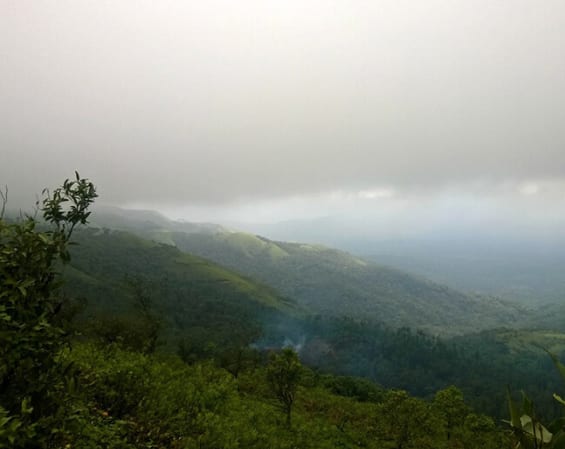 Wooden Cottage stay in Chikmangalru, Chikmaglur 5