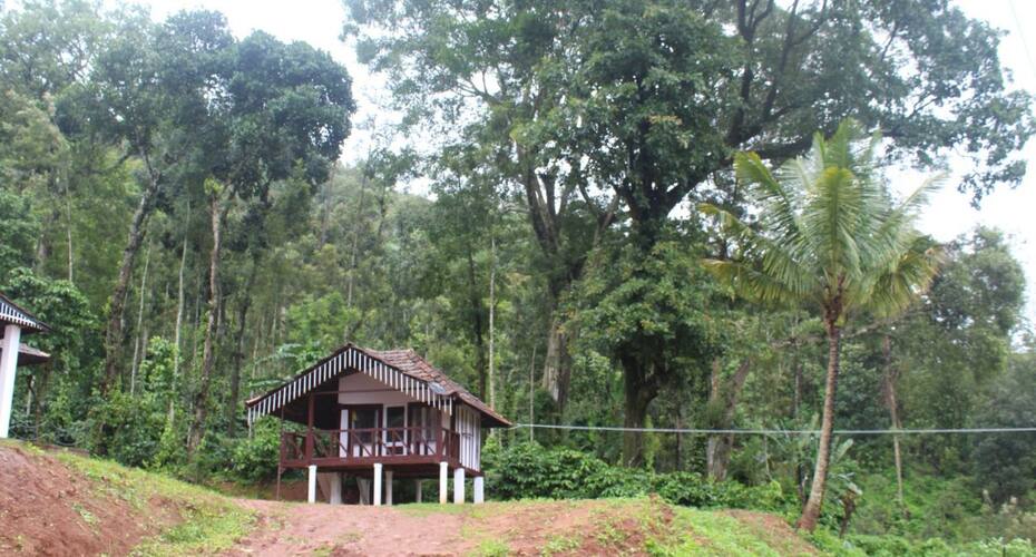 Cottage stay in Chikmangalru, Chikmaglur 5