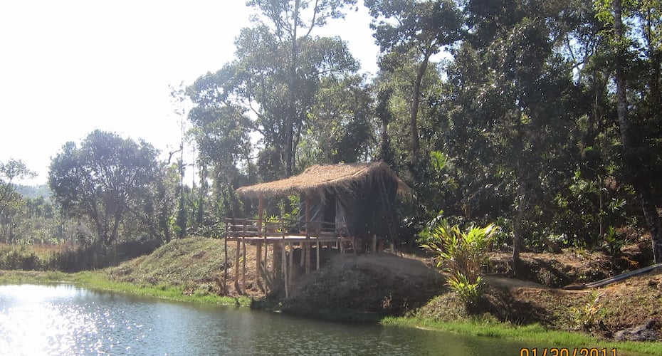 Room stay in a Homestay - A stay amidst nature, Chikmaglur 3