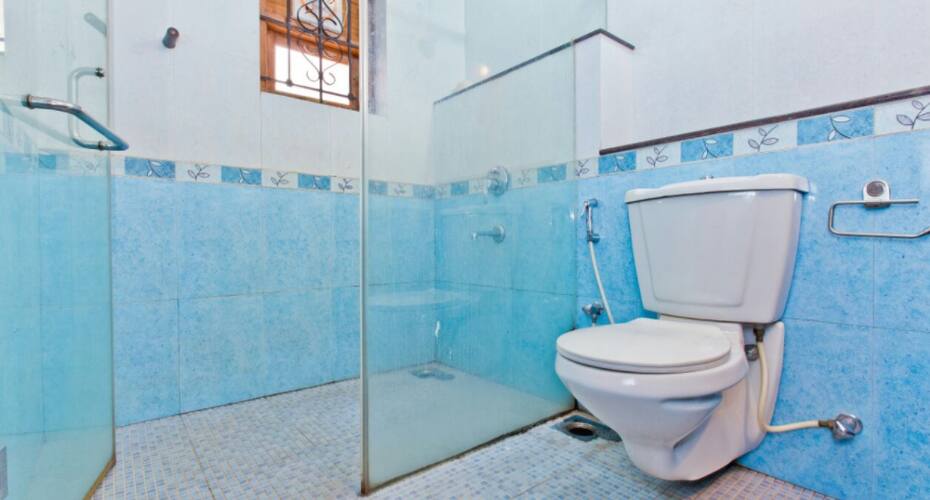 Luxurious Three Bedroom Villa, Goa 5