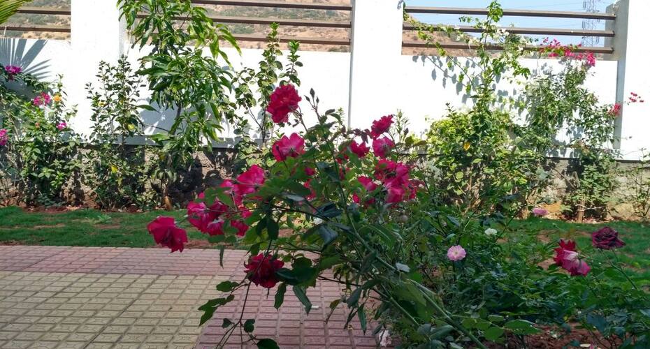 Awesome Room With Scenic View In Lonavala, Lonavala 2