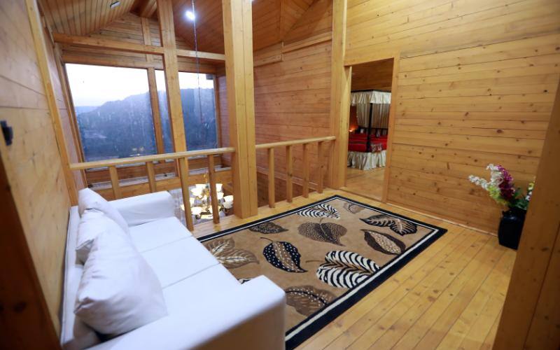 Wooden Villa Stay, Lonavala 3