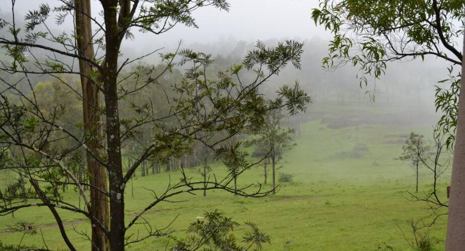 Premium Hill Side Cottage, Mahabaleshwar 4