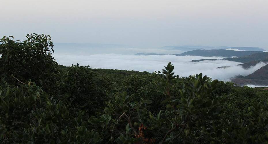 VILLA YOU WILL LOVE TO COME AGAIN & AGAIN, Mahabaleshwar 4
