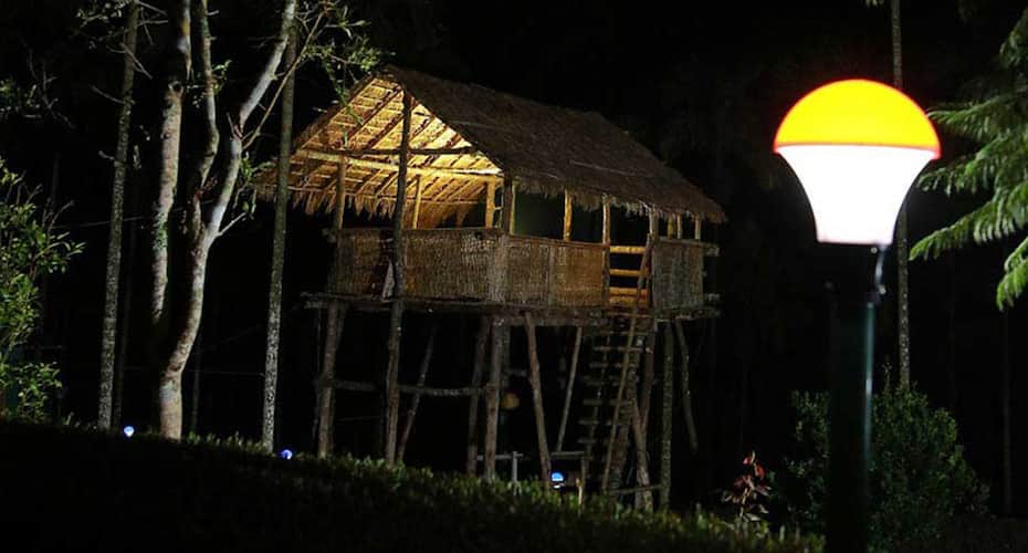Newline Godsland Resort, Wayanad 4