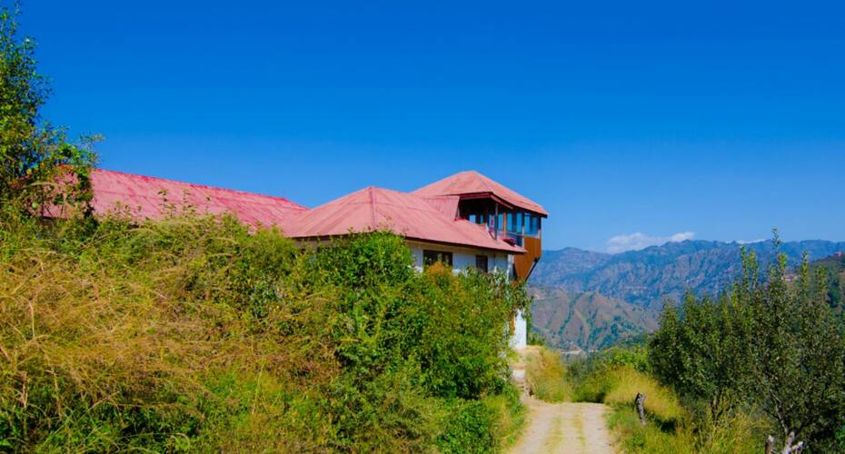 Apple Orchard Farmstay, Shimla 3
