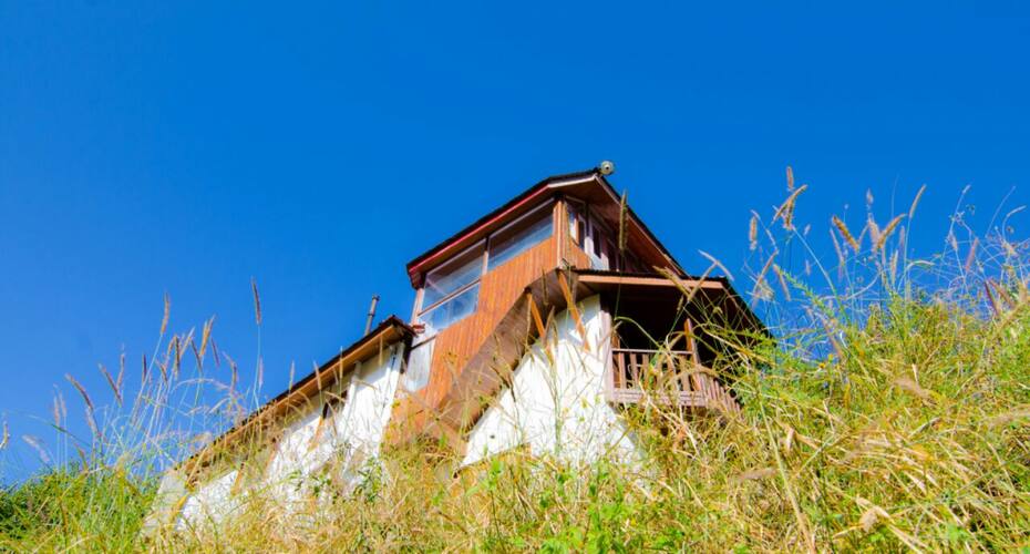 Apple Orchard Farmstay, Shimla 2