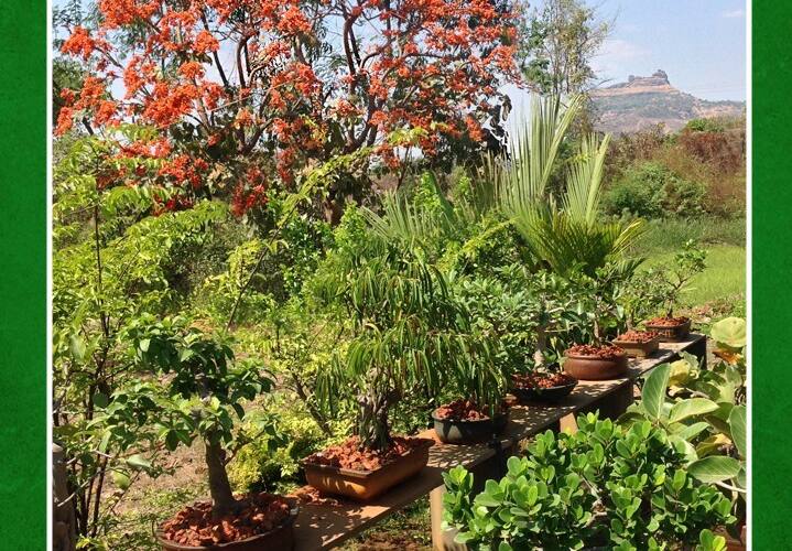 Farm House with private lake, Karjat 3