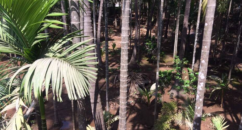 5 Bedroom Holiday Home In Alibagh, Alibaug 5