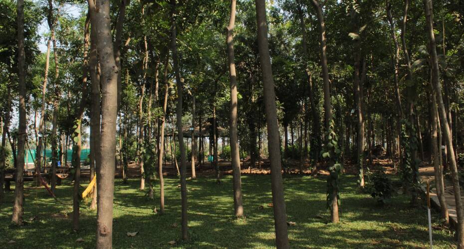 Dormitory Stay in a resort close to nature homestay, Karjat 5