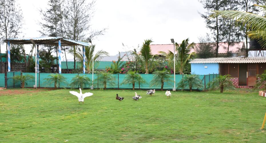 Five Bedroom Villa in Pune, A Nature Stay, Pune 1