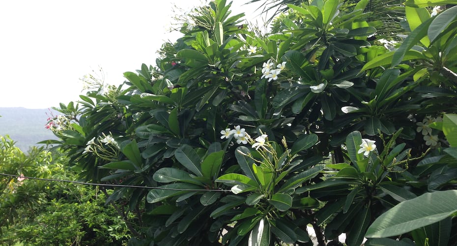 Farmhouse for picnics & family trips with Private swimming pool in Karjat !!, Karjat 5