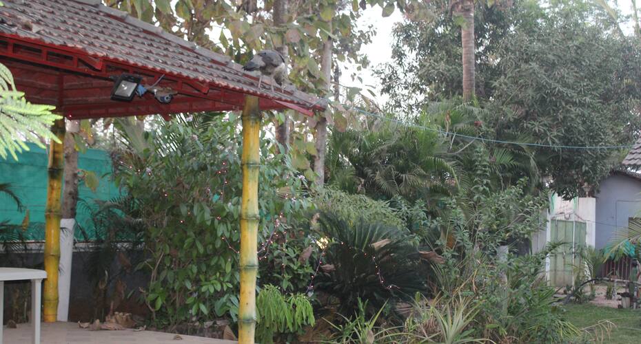 6 Bedroom Resort, close to nature homestay, Karjat 5