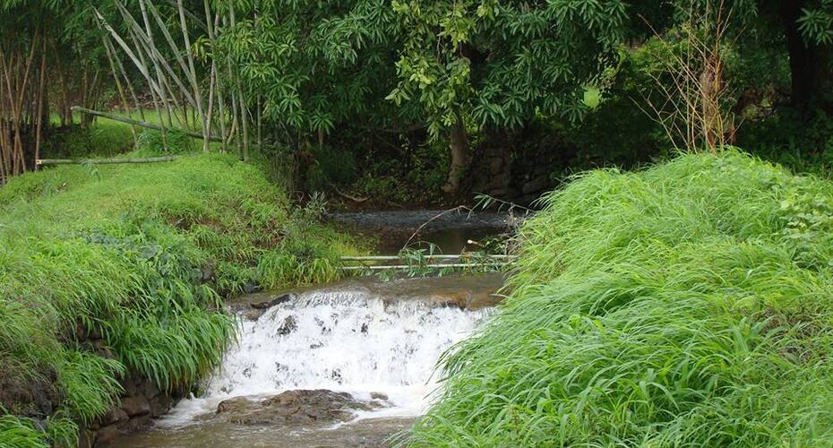 Kerala Cottage stay, Pune 2