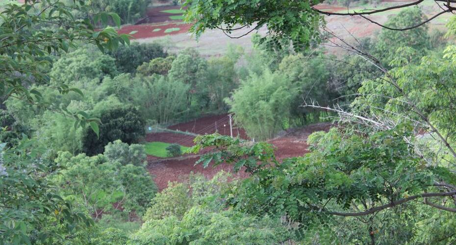 Kerala Cottage stay, Pune 3