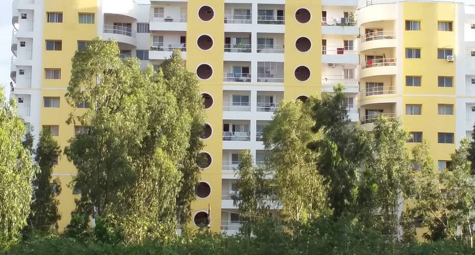 ZEN HOMES - Carnation - Homestay & B&B, Bangalore 1