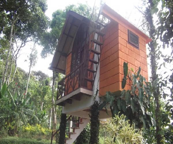 Manayath Heritage By Travel Inn, Thekkady 3