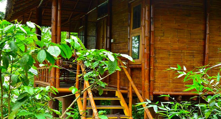 Trekking Trails Ecolodge, Wayanad 2