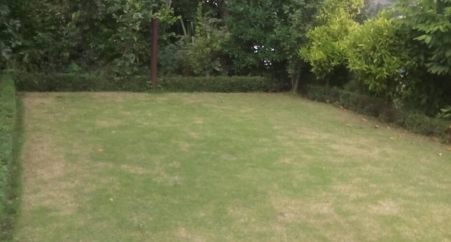 Nature Hearth villa, Bhimtal 4