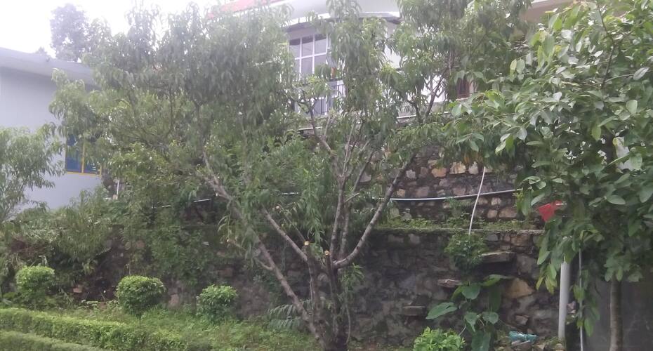 Nature Hearth villa, Bhimtal 5