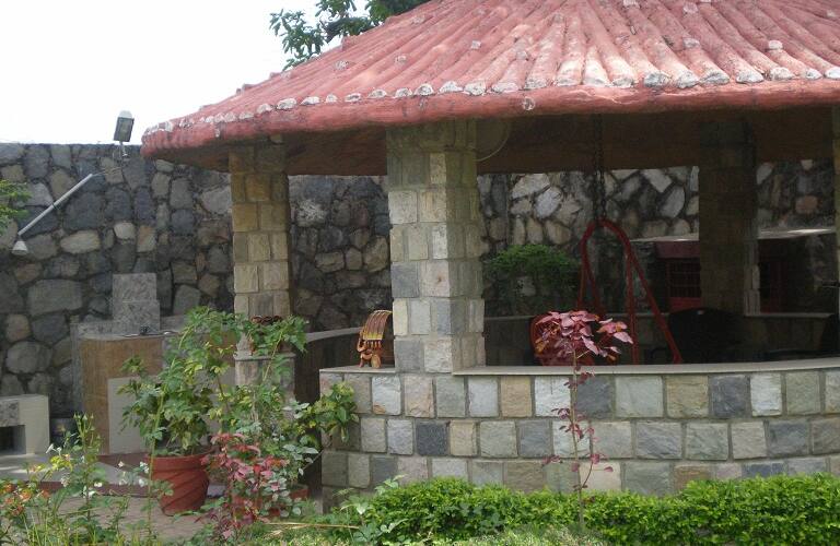 Forest / Hill View Nest, Dehradun 4