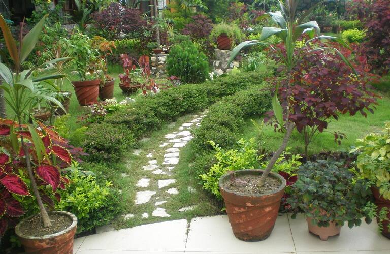 Garden and Hill View Villa Floor, Dehradun 4