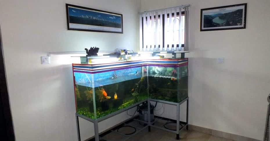A Lake House in the Hills (Lake Pleasant Cottage), Naukuchiatal 4