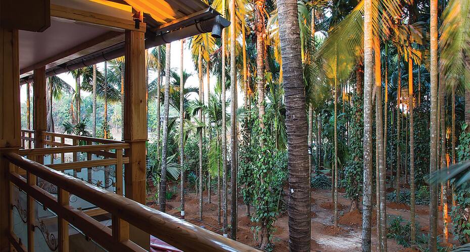Nature Harmony Resort, Ratnagiri 5