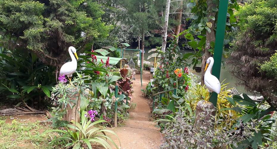 Koshys Resort By Travel Inn, Thekkady 4