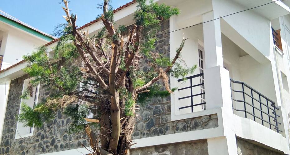 Venus Garden, Kodaikanal 1