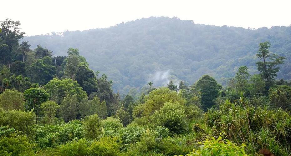 Campper Creek Camp Coorg, Madikeri 3