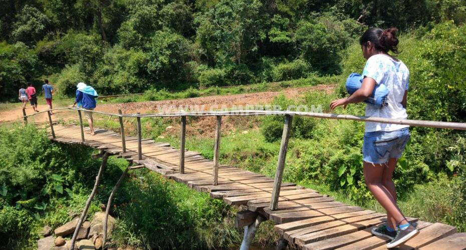 Campper Tea Plantation Camp At Wayanad, Wayanad 2