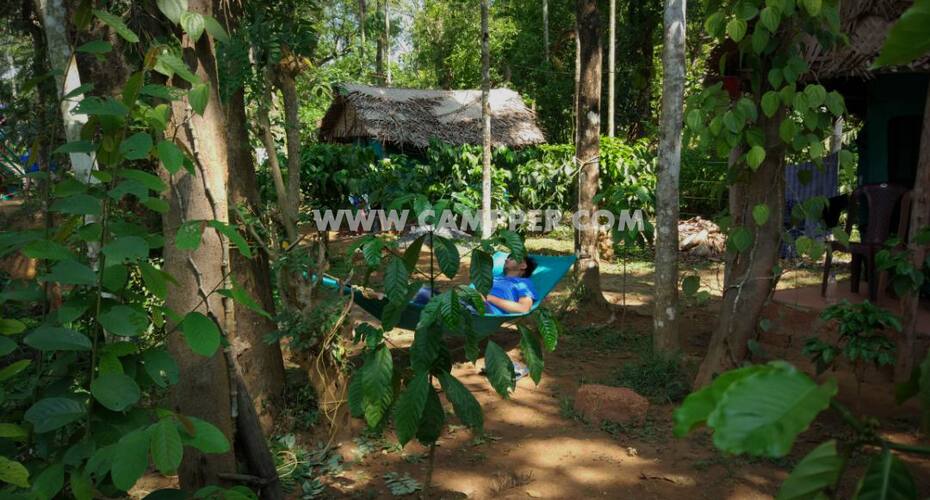 Campper Tea Plantation Camp At Wayanad, Wayanad 1
