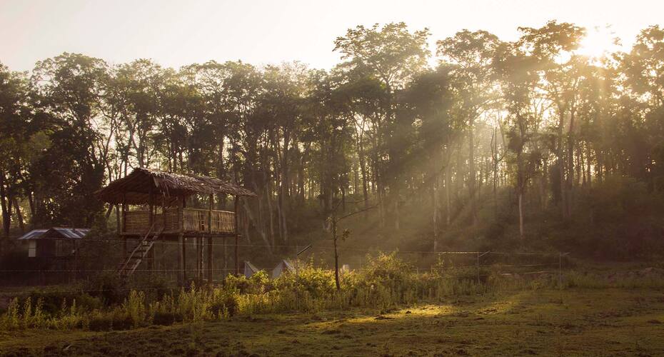 Campper Wildwest Camp Muthanga Forest, Wayanad 2