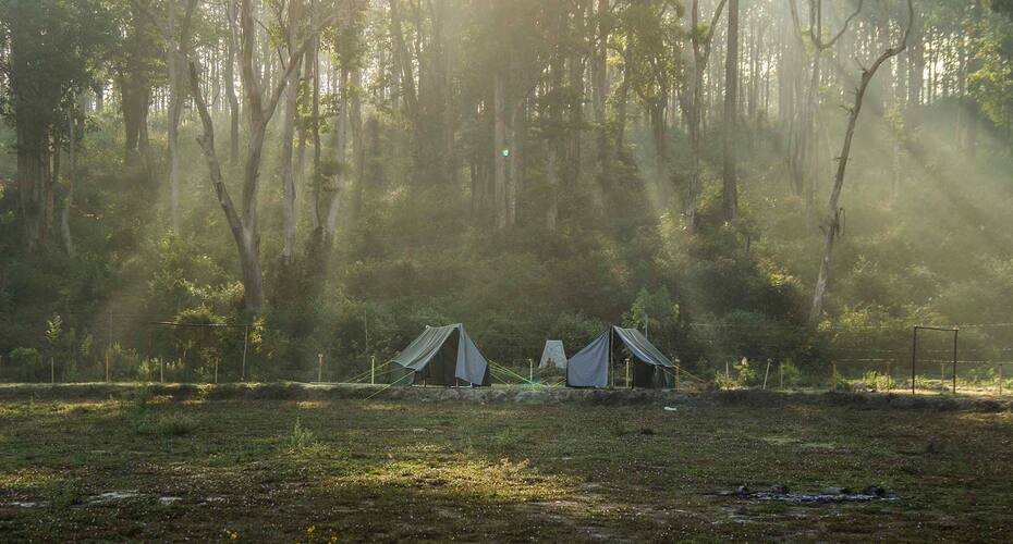 Campper Wildwest Camp Muthanga Forest, Wayanad 3