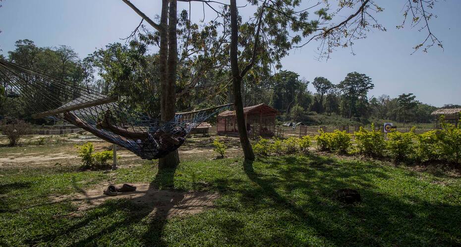 Campper Wildwest Camp Muthanga Forest, Wayanad 1