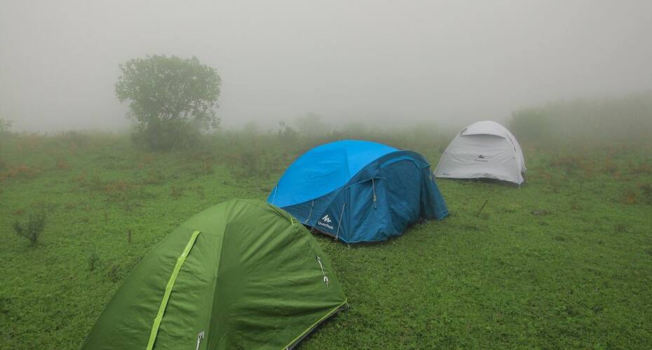 Campper Thangalpara Top Camp At Vagamon, Vagamon 1