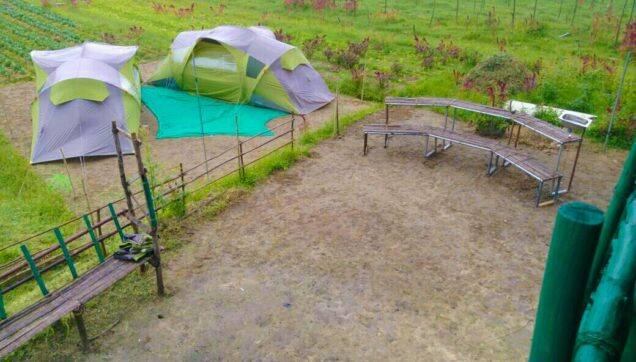 Campper Farm Fresh Camping, Wayanad 2