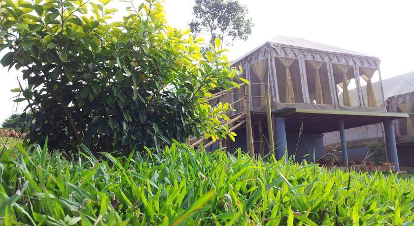 Campper Whispering Woods Executive Tent Camps, Wayanad 2