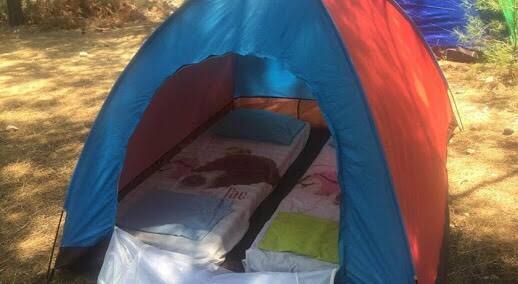 Jungle Treat, Udaipur 4