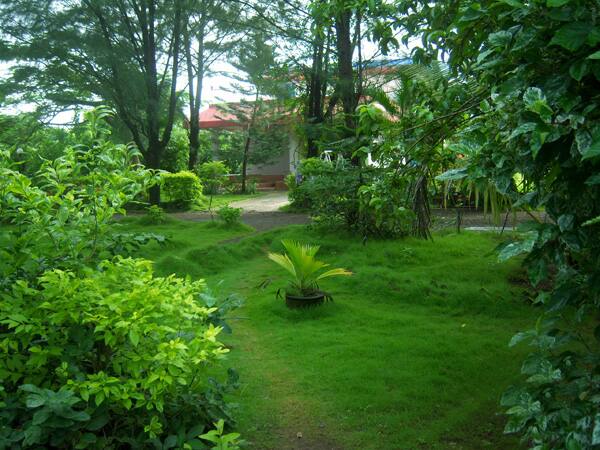 Prajakta Rest House, Alibaug 3