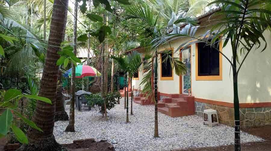 Vijaya Cottage, Alibaug 2