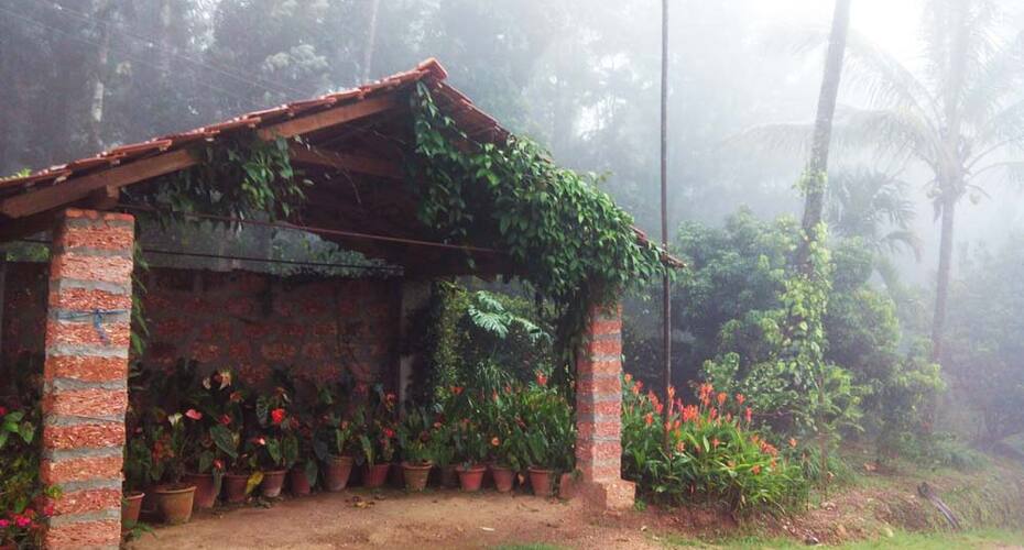 Abhiram Homestay, Chikmaglur 5