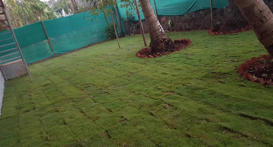 Shiv Sai Cottage Alibaug, Alibaug 2