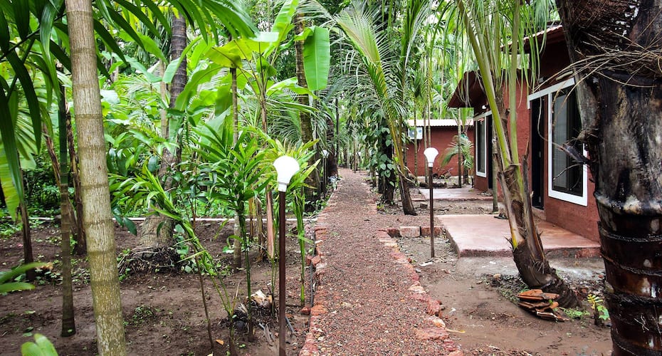 Konkan Serene Homestay Dapoli, Dapoli 4
